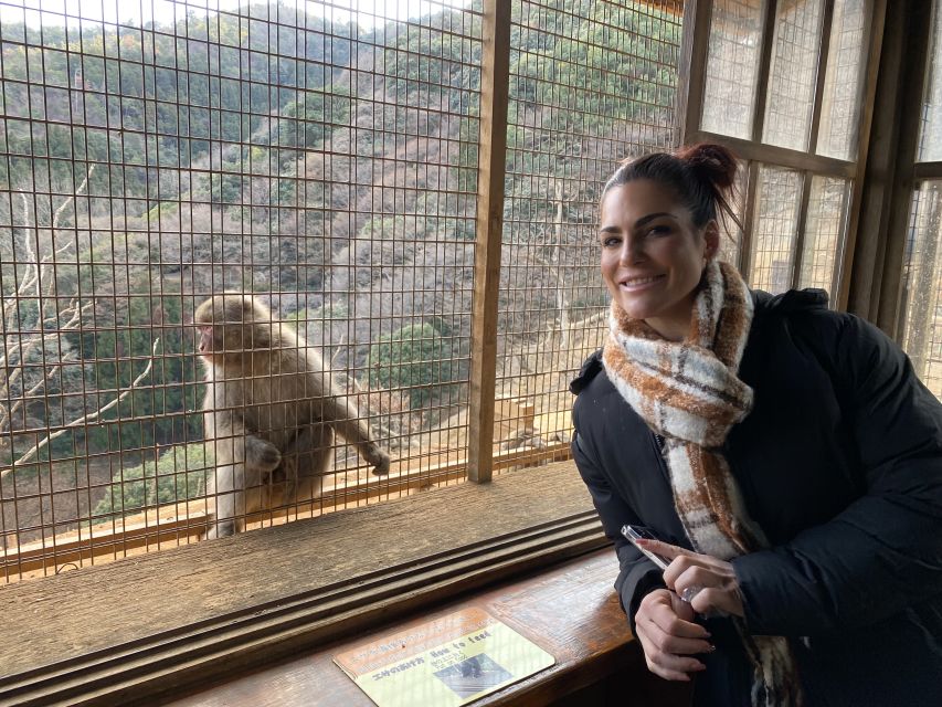 Kyoto: Afternoon Bamboo Forest and Monkey Park Bike Tour - Key Points