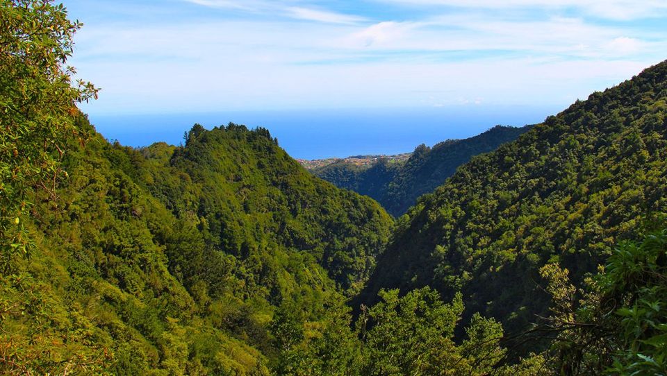 Madeira: Forest Fires, Green Cauldron and Levada Walk - Key Points
