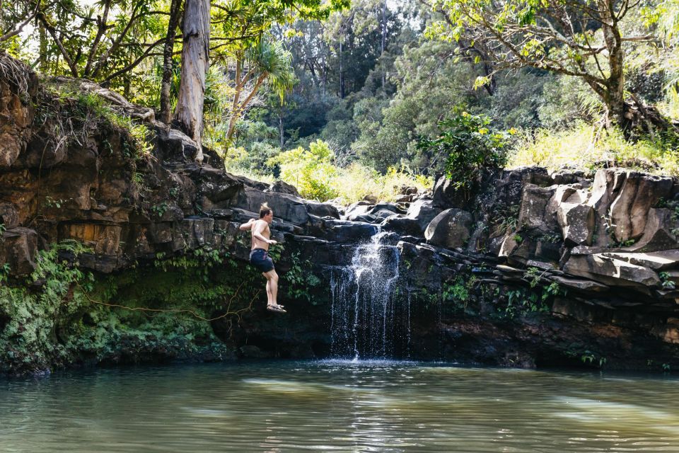 Maui: Hike to the Rainforest Waterfalls With a Picnic Lunch - Key Points