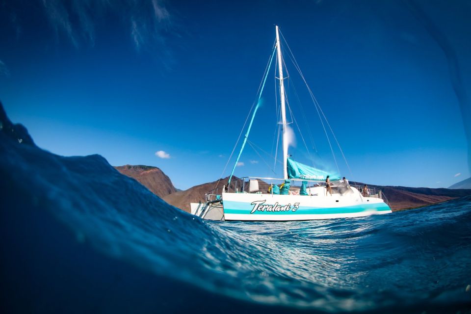 Maui: Kaanapali Wild Dolphin Sail - Activity Details