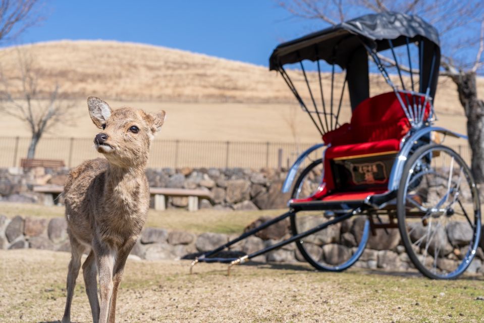 Nara: Cultural Heritage Tour by Rickshaw - Key Points