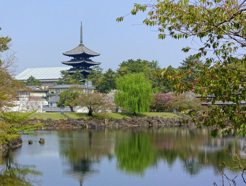 Nara Park and Kofuku-ji Audio Guide: The Enchanted Grounds - Key Points