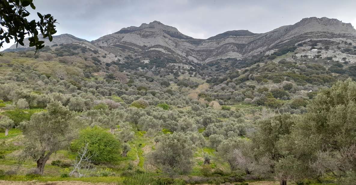 Naxos: Countryside Hike Among Villages & Byzantine Churches - Key Points