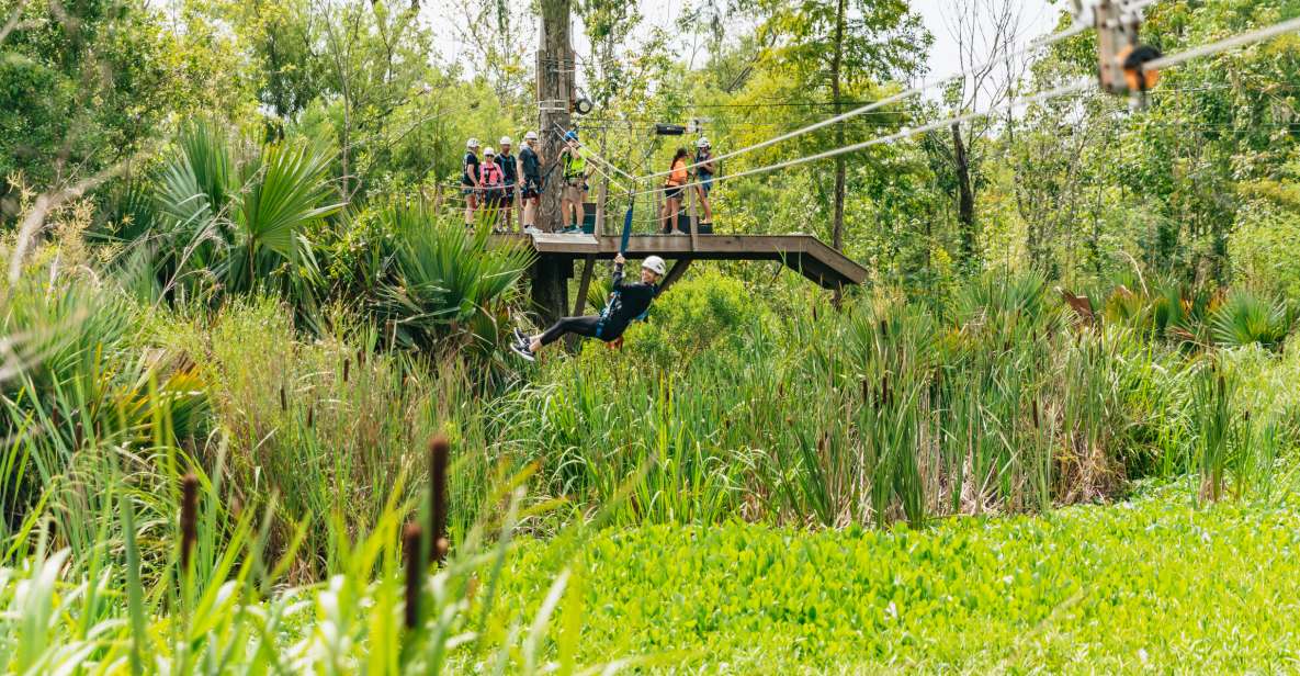 New Orleans: Swamp Zipline Tour - Tour Details