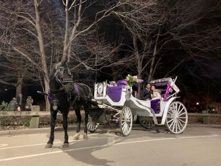 NYC: Central Park Horse-Drawn Carriage Ride With Photos