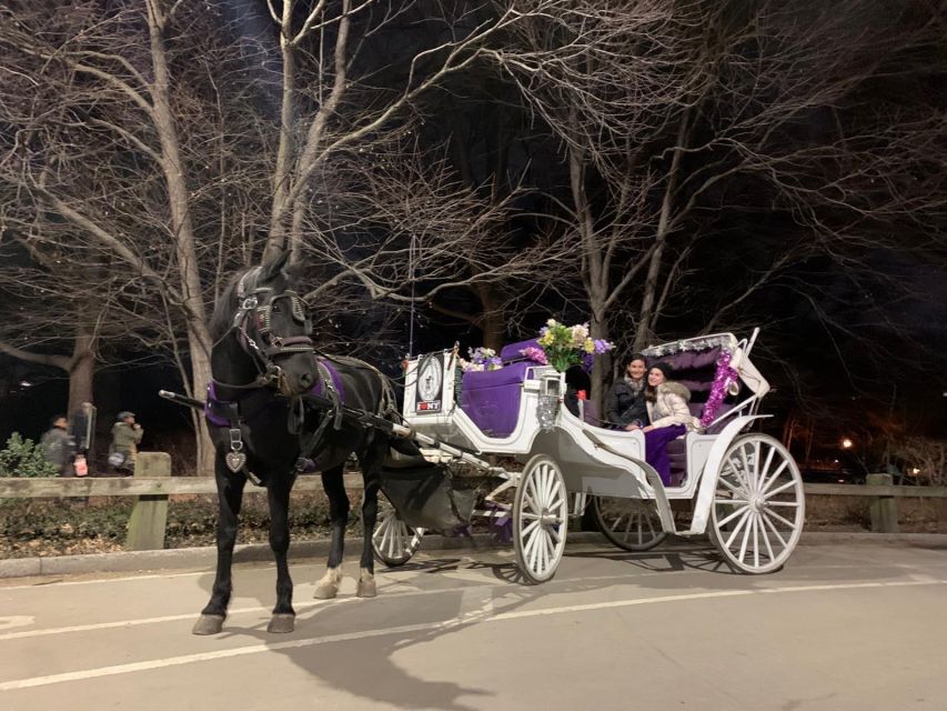 NYC: Central Park Horse-Drawn Carriage Ride With Photos - Activity Highlights