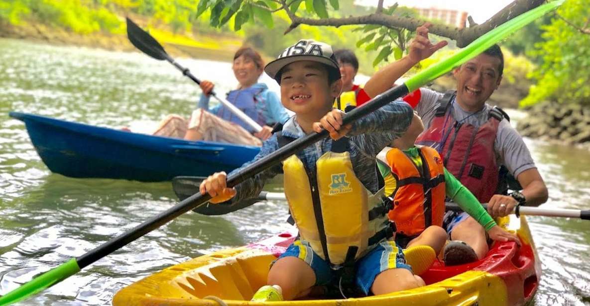 Okinawa: Mangrove Kayaking Tour - Key Points