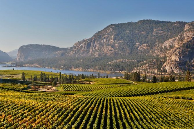 Oliver and Osoyoos Wine Tour From Kelowna - 4 Wineries - Key Points