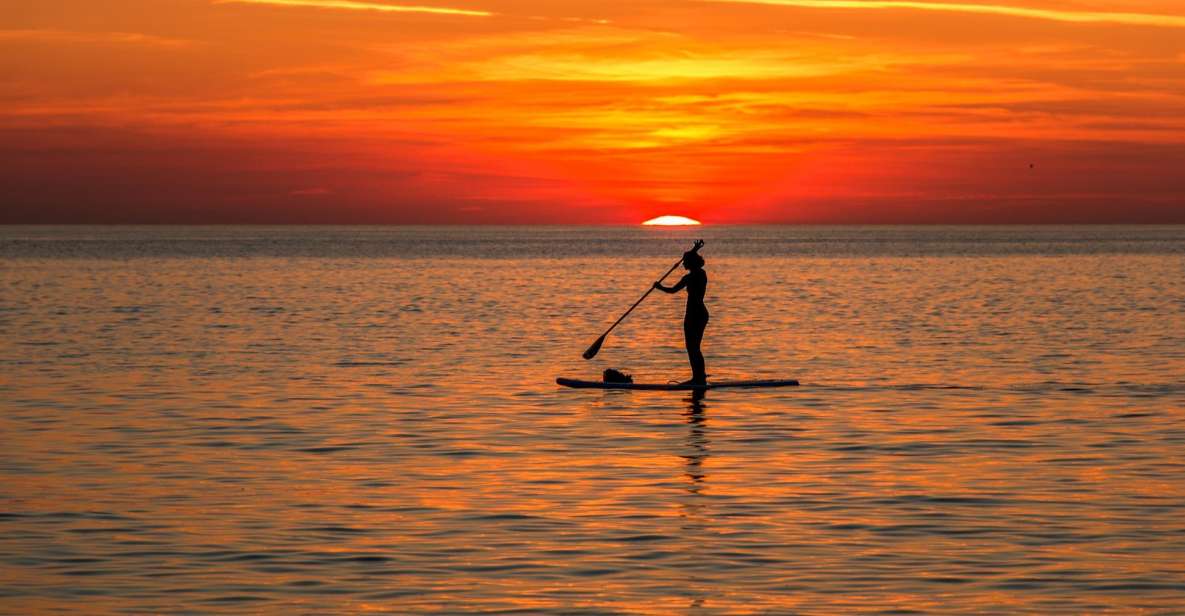 Paddle Board Rental: Glide on the Water With Ease - Key Points