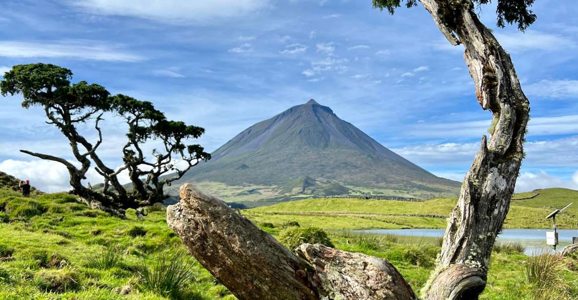 Pico, Azores: Highlights Tour With Wine Tasting and Picnic - Key Points
