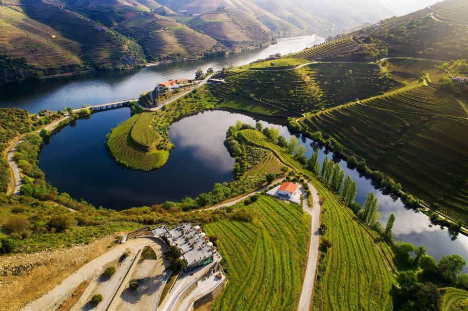 Porto: Private Douro Valley Tour With Port Tasting/Boat Trip - Key Points