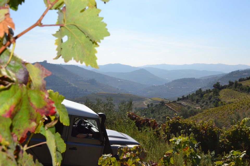 Private Douro Valley 4WD Tour With Wine Tasting and Picnic - Key Points