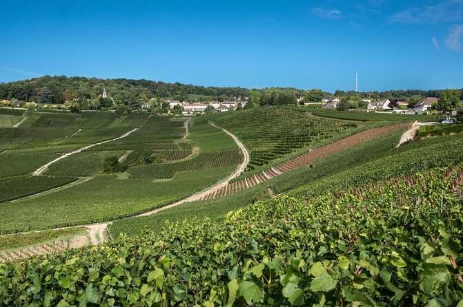 Private Guided Tour in Champagne From Paris With Moet&Chandon Visit. - Key Points