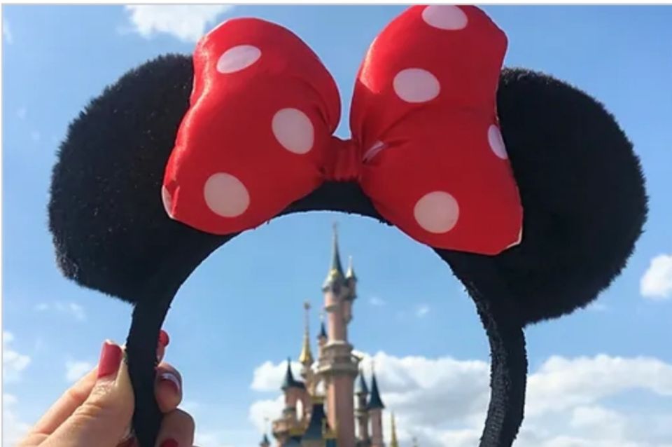 Private Transfer CDG and Orly Airports To/From Disneyland - Key Points