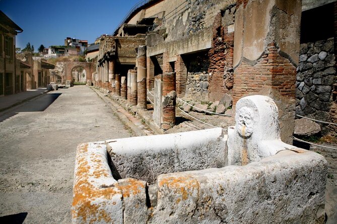 Private Walking Tour Through the Historical City of Herculaneum - Key Points