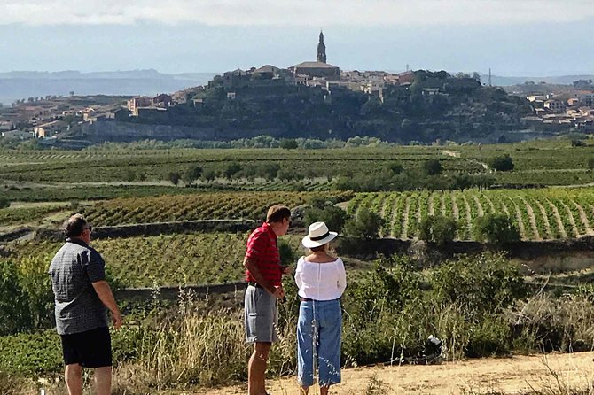 Rioja Wineries and Laguardia Tour With Picnic From San Sebastian - Key Points