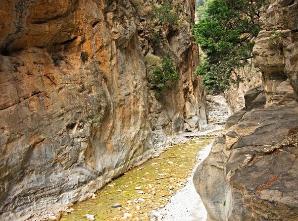 Samaria Gorge National Park Full-Day Hike With Transportation  - Crete - Key Points