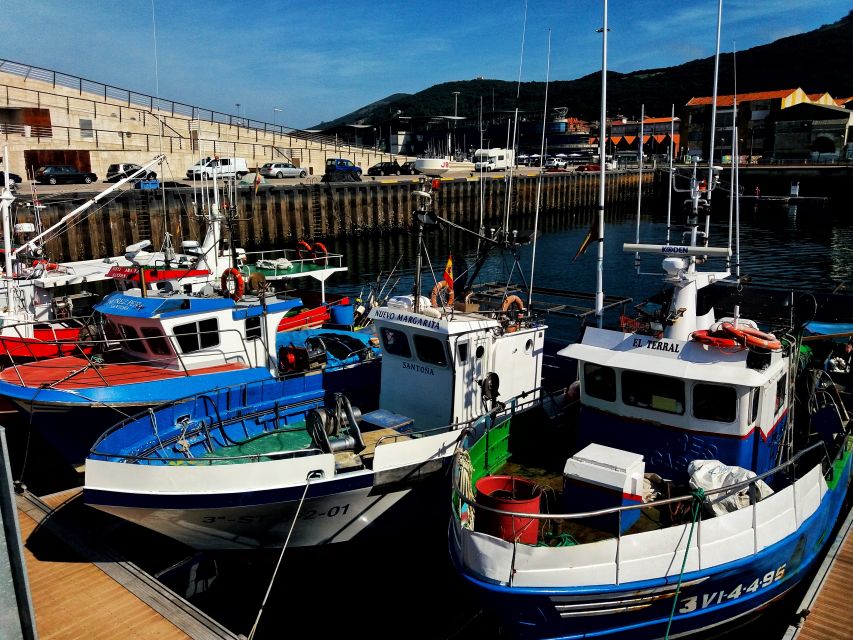 Santoña: Anchovy Factory Tour and Boat Trip - Key Points