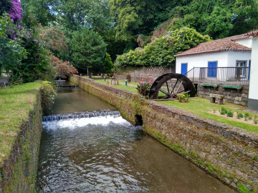 Sao Miguel: Privat Van Tour Furnas, Gorreana Tea Factory - Key Points