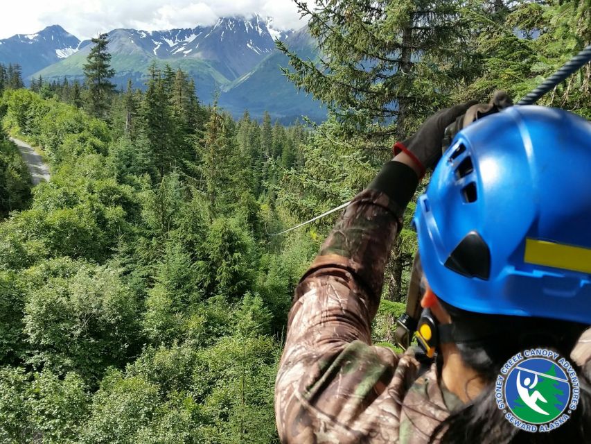 Seward: Stoney Creek Canopy Adventure - Key Points