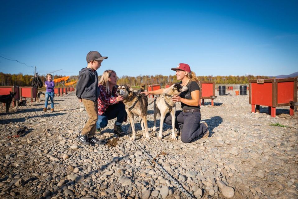 Talkeetna: Mushing Experience With Iditarod Champion Dogs - Key Points