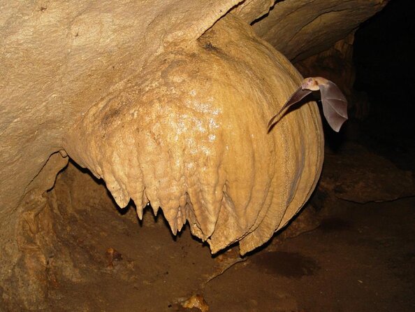 Venado Caves Underground Experience From La Fortuna - Key Points