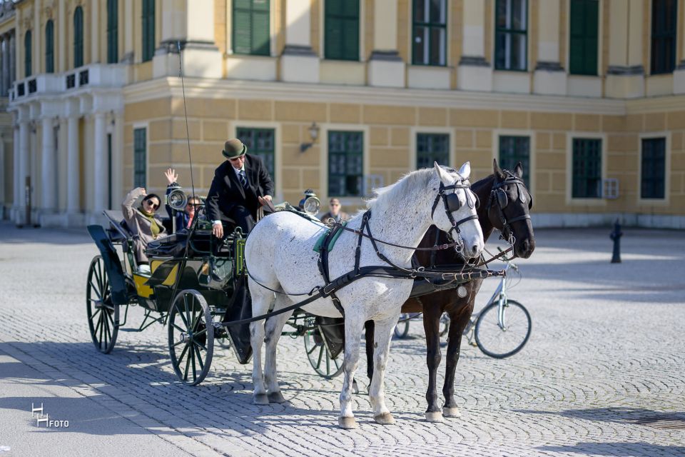 Vienna: Carriage Ride Through Schönbrunn Palace Gardens - Key Points
