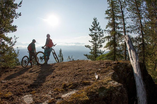 Whistler Half-Day Mountain Bike Tour - Key Points