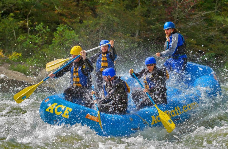 Whitewater Rafting on the Fall Lower Gauley - Friday - Activity Details