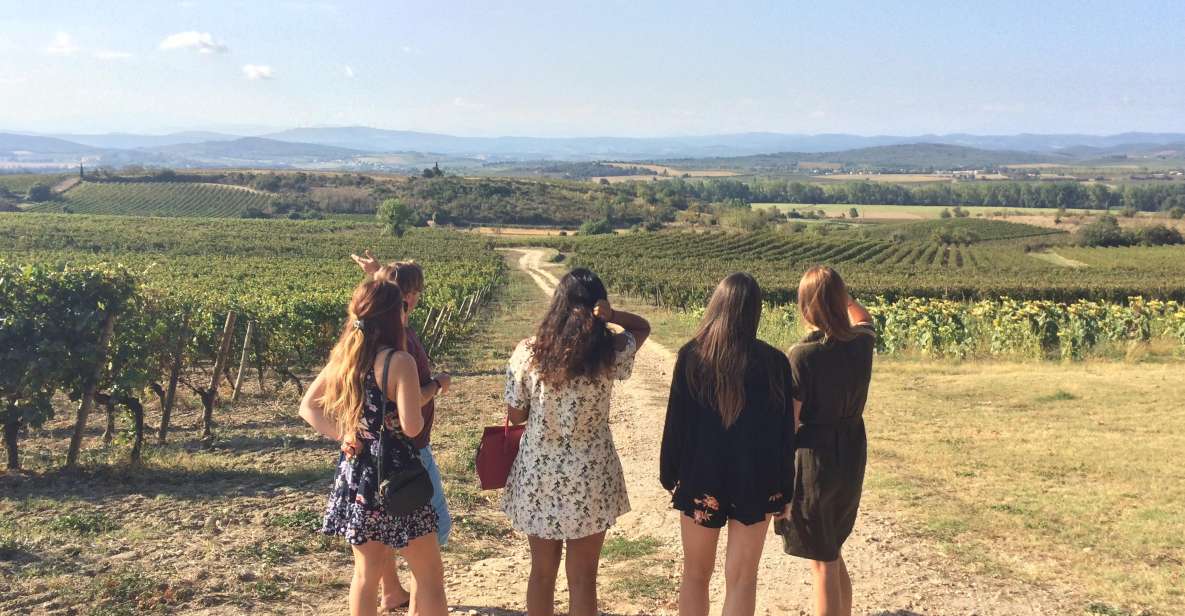 Wine Tour Cathar Country - Key Points