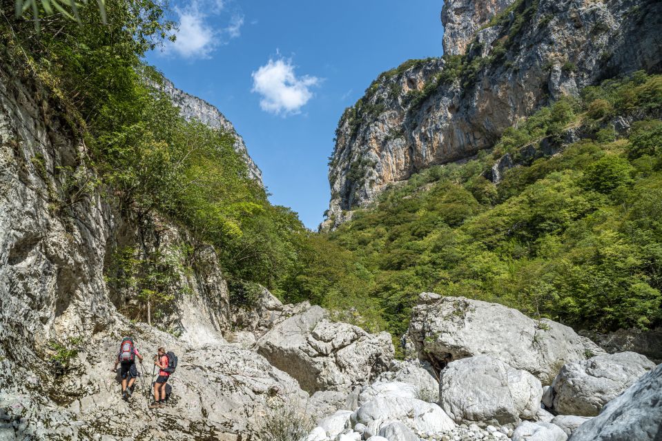 Zagori: Vikos Gorge Full-Day Guided Hike - Key Points