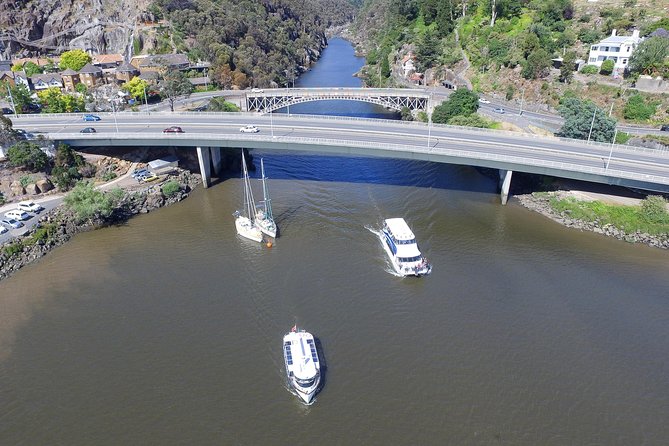 2.50 Hour Afternoon Discovery Cruise Including Cataract Gorge Departing at 3 Pm