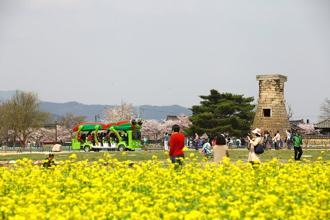 2-Day Gyeongju Rail Tour From Seoul - Tour Highlights and Itinerary
