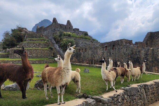2-Day Inca Trail To Machu Picchu