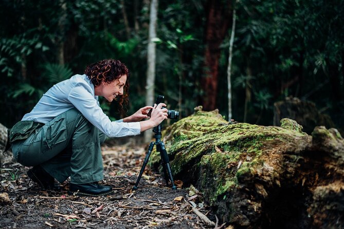 2-Hour Mushroom Photography Activity in Cairns Botanic Gardens - What to Expect From the Tour
