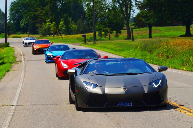 6 Hour Exotic Car Tour Driving 6 Super Cars Lunch - Experience Highlights