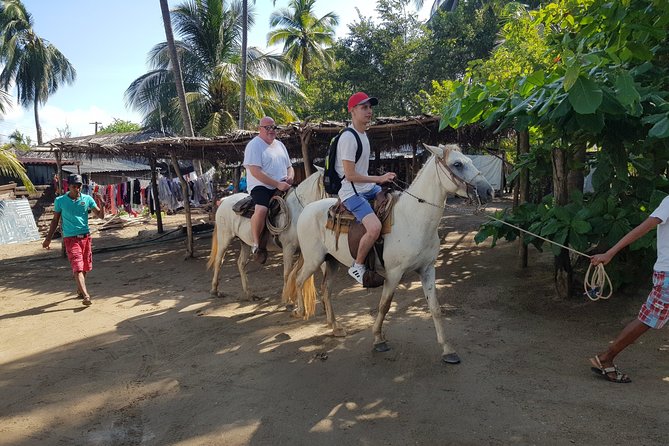 AfroMex Village Beach Horseback Baby Turtle Release & Crocs Farm - Tour Overview