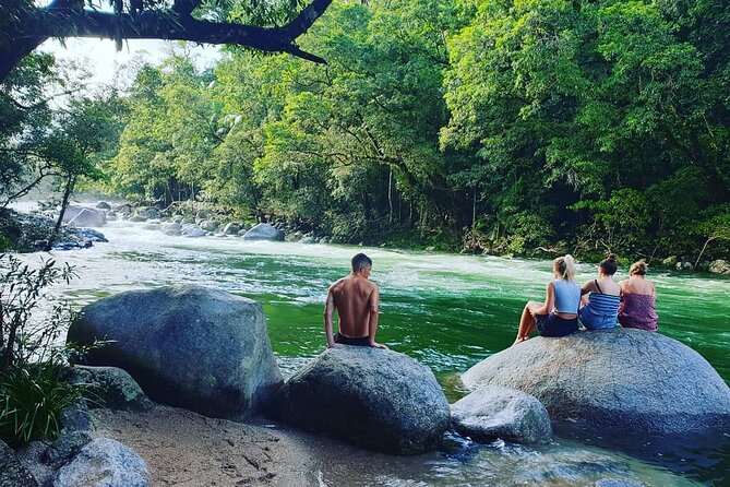 Afternoon Tour Mossman Gorge & Daintree River From Port Douglas