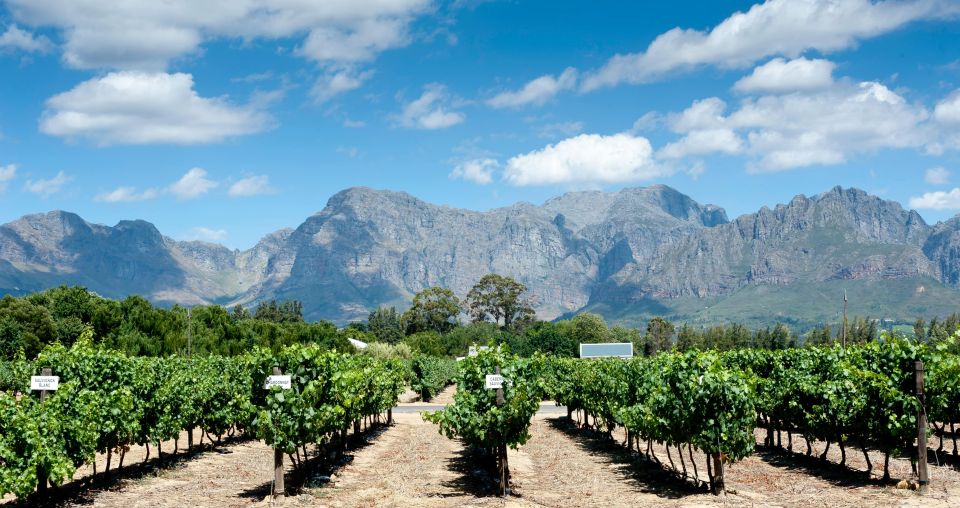Alicante: Highlights Tour With Tasting & Winery Visit - Tour Details