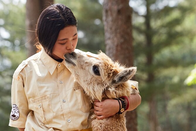 Alpaca World & Nami Island & Garden of Morning Calm One Day Tour - Tour Highlights and Inclusions