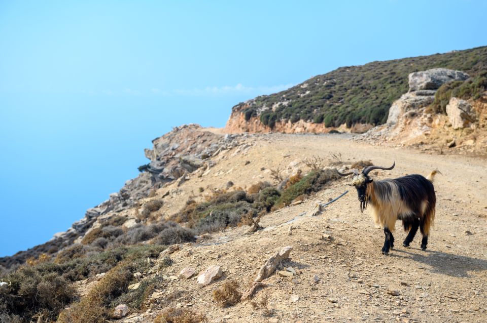 Amorgos: Guided Hike of the Panagia Hozoviotissa Monastery - Tour Details