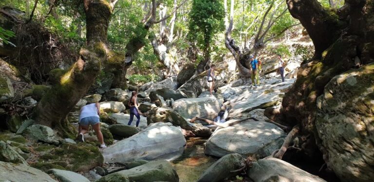 Andros: Achla River Trekking to the Waterfall