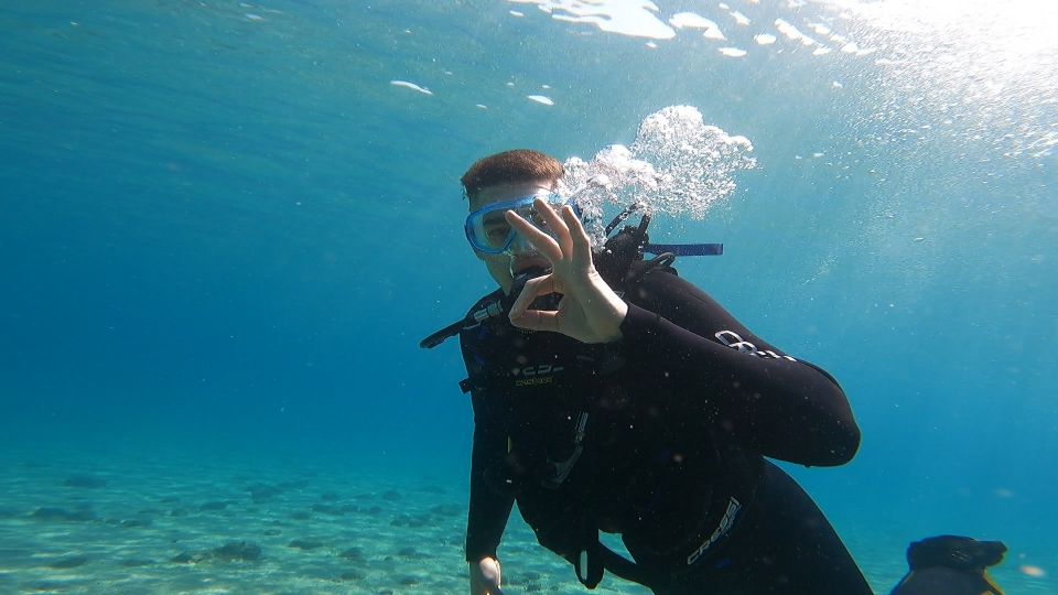 Athens East Coast: Discover Scuba Diving in Nea Makri - Location and Pricing Details