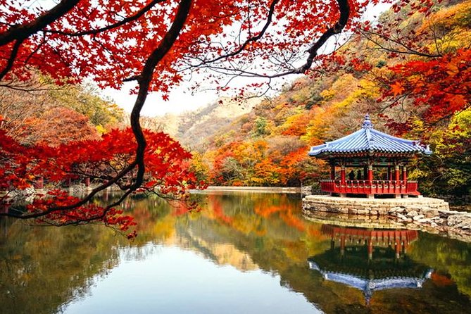 Autumn 8 Days South Korea Tour Including Jeonju,Damyang,Mt.Naejangsan - Autumn in South Korea Overview