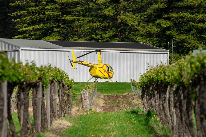 Barossa Valley Deluxe: 30-Minute Helicopter Flight - Soaring Over Barossa Valley