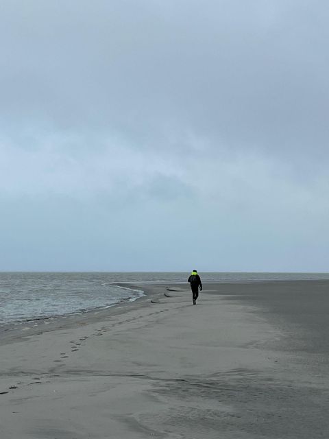 Bay of Mont Saint-Michel : Towards The Immensity