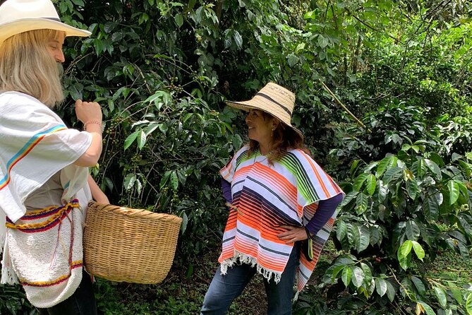 Be a Farmer for One Day (Coffee Farm Experience)