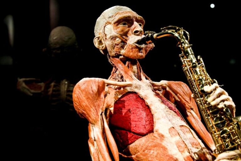 Body Worlds Amsterdam: The Happiness Project Ticket
