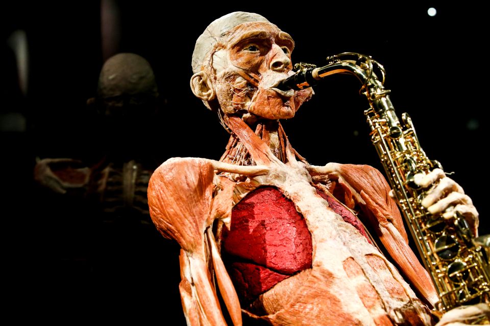 Body Worlds Amsterdam: The Happiness Project Ticket - Ticket Benefits