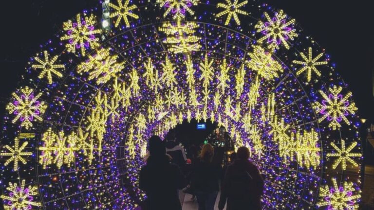 Bregenz: Magical Christmas Walking Tour